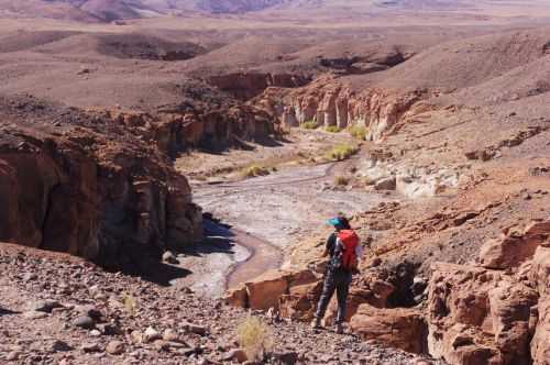 TREKKING NEL DESERTO DI ATACAMA 2015